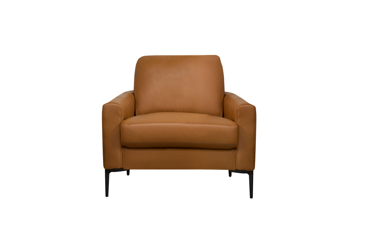 Vernon Chair - Raven Genuine Leather
